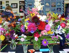 Sticklepath Flower Show