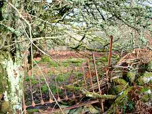 A homemade fence