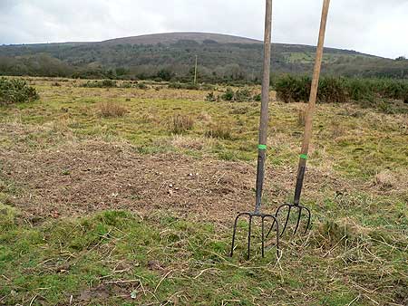 The cleared moor