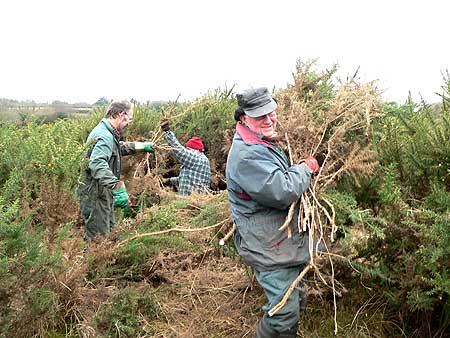 Furze Cutters