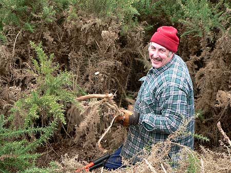 Paul Grey clearing gorse