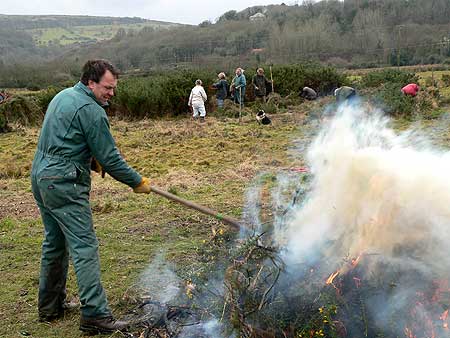 Burning the gorse