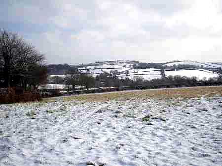 View from the Rectory