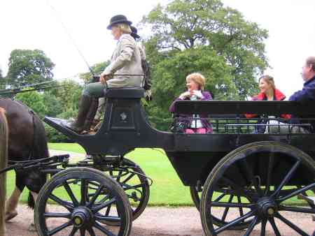 Horse drawn Carraige ride Arlington house