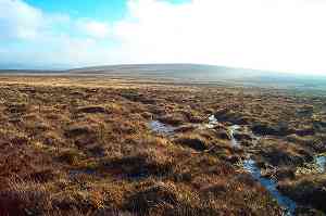 Raybarrow Pool