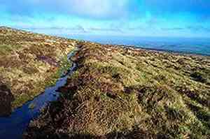 South Zeal Peat Track