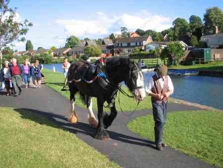 WI Barge Trip - Horse - Dolly