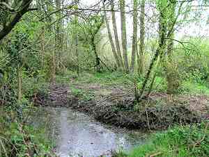 Back to nature reserve - dreckly?