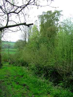 Nature Reserve