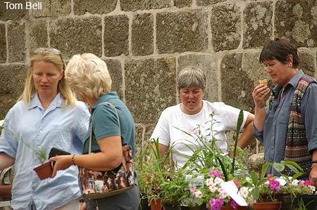 plant stall