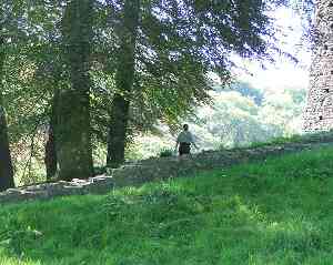 Curator walking up the hill