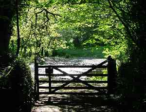 Gate at end of lane