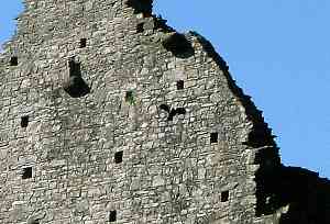 Bird flying from wall face hole