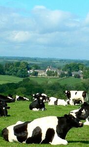 South Tawton parish