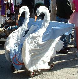 Two Swans