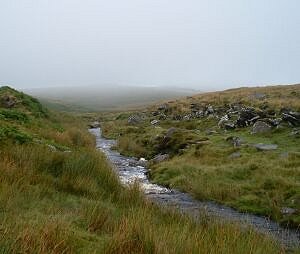 Stream in between the rock