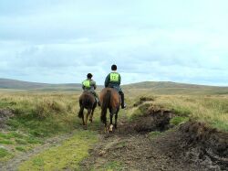 The Dartmoor Fun Riders