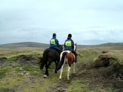 Riding out onto the moor