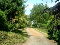 Dishcombe entrance