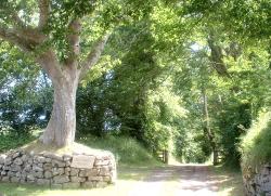 Entrance to Oxenham Manor