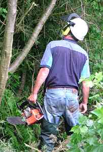 Dave's happy back with trees