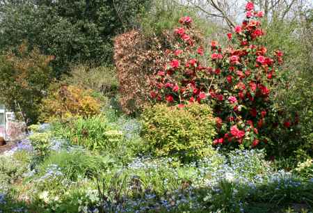 garden view