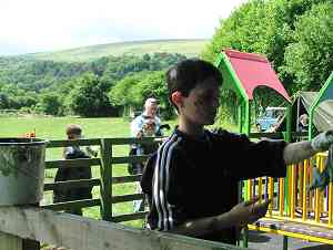 painting the fence