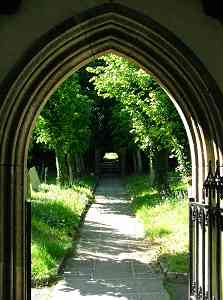 view from the porch