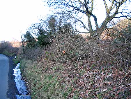 Pruned hedges