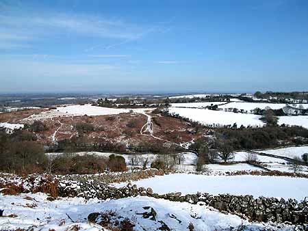 Ramsley Common