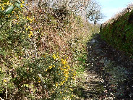 Spring on the Tarka Trail