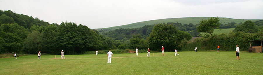 the cricket match