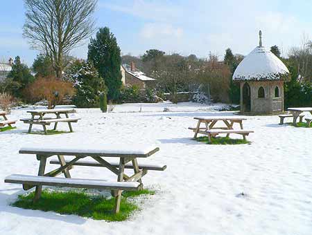 Snow on Lawn