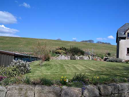 Garden view