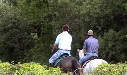 Riding along a lane