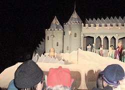 Crowd viewing castle