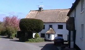 Cottages opposite St Andrew2's