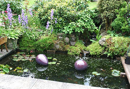 pond with globes