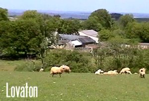 View of Lovaton with sheep in foreground